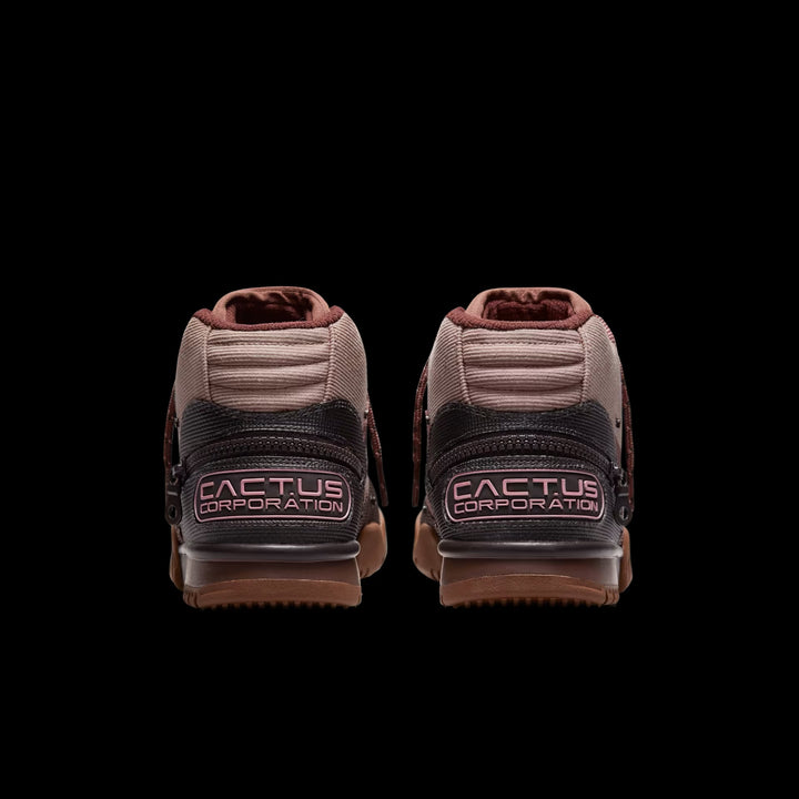 Air Trainer 1 x CACT.US CORP Archaeo Brown and Rust Pink