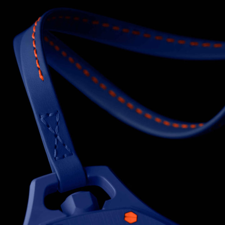 AP X SWATCH ROYAL POP ORENJI HACHI