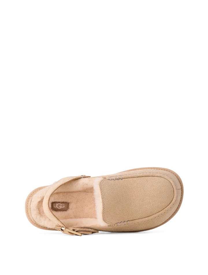UGG Goldenstar Evelina Suede Clogs