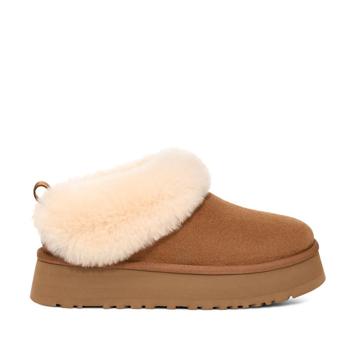 UGG WOMEN'S TAZZELLE CHESTNUT מגפי נשים טאזל חום