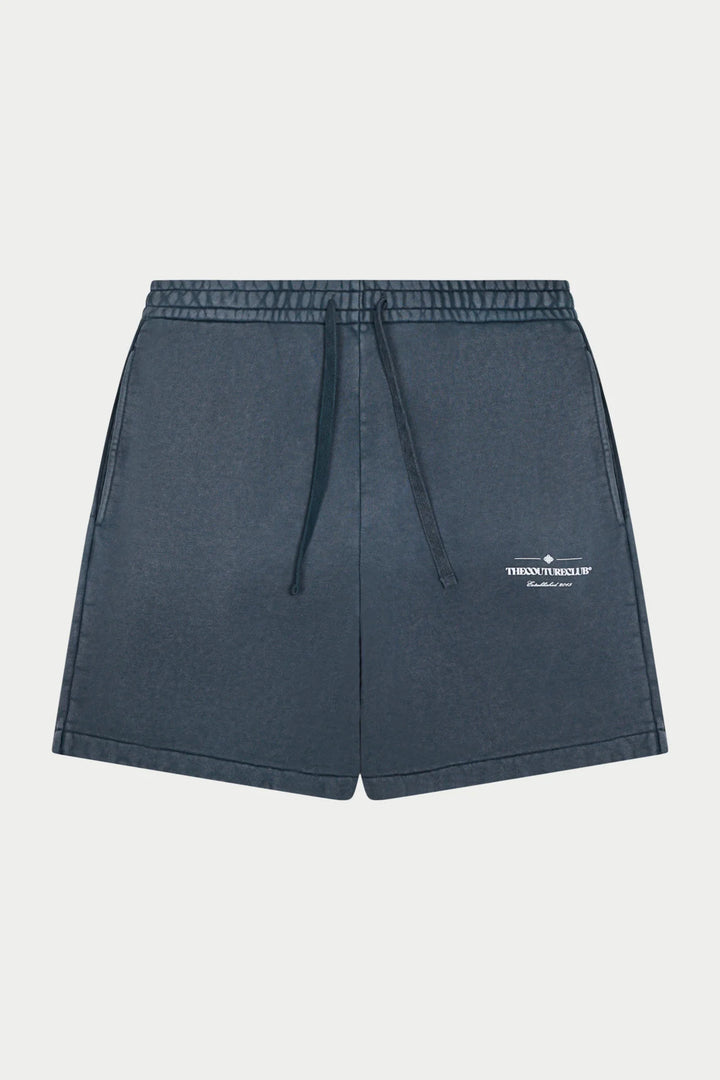 SPRAY WASH COPYRIGHT MULTI GRAPHIC SHORTS