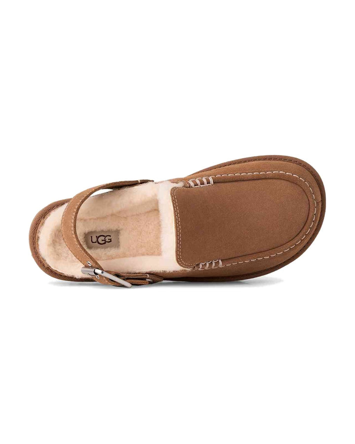 UGG Goldenstar Evelina Suede Clogs CHE