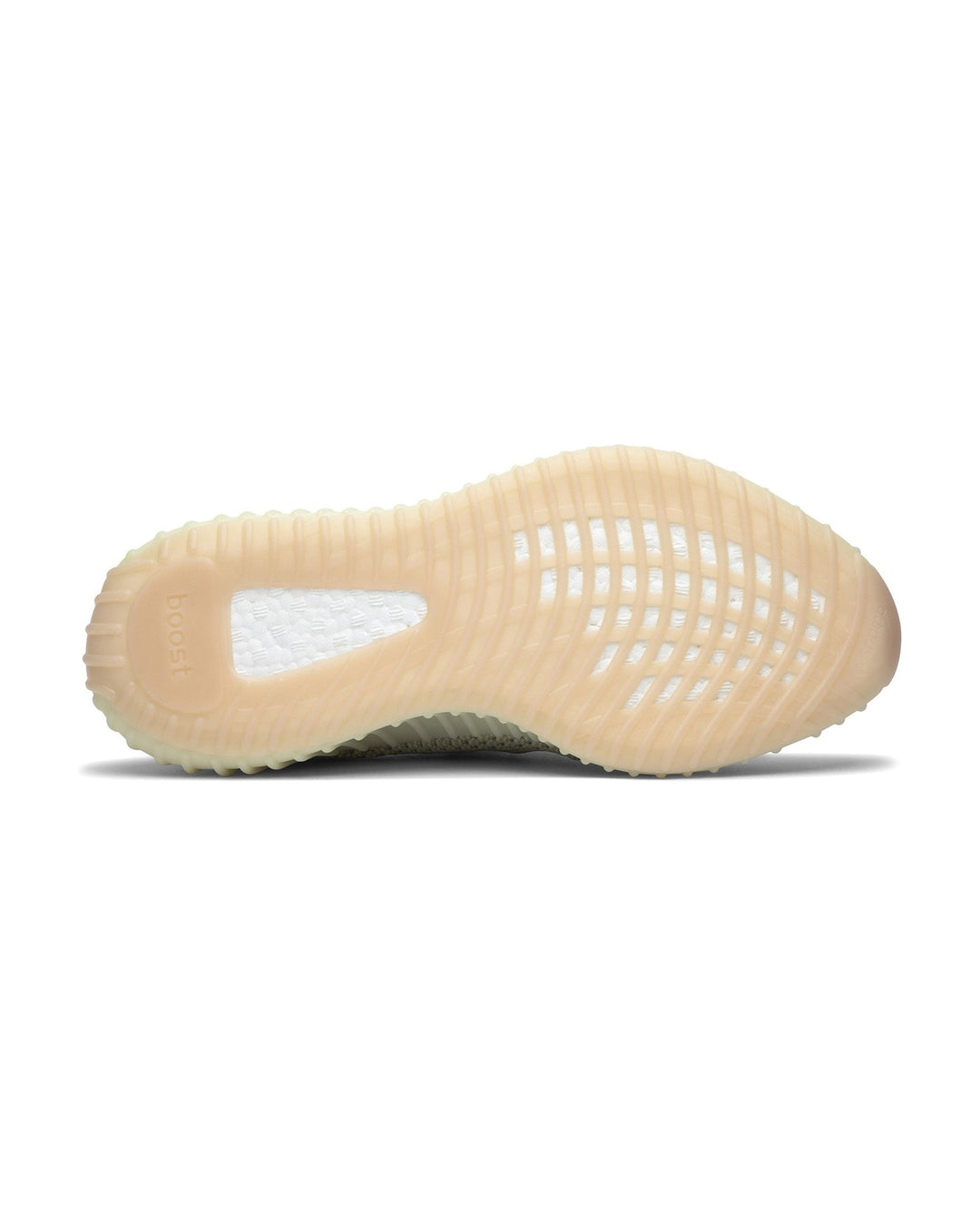 ADIDAS YEEZY BOOST 350 V2 ANTLIA